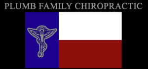 W300_plumbfamilychiro