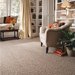 Thumb_smartcarpet2