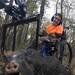 Thumb_hog-hunts-montgomery-alabama