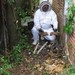 Thumb_pest-control-montgomery-al