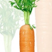 Eat A Carrot, Save The World